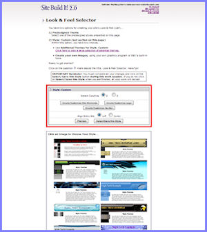 Site Build It's Look & Feel Selector offers easy website design tools